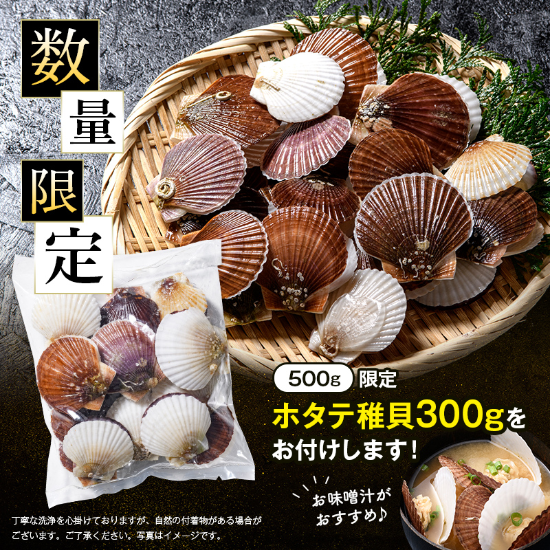 【バリュー品】北海道産刺身用冷凍不選別フレークホタテ貝柱500g＋ 噴火湾産ホタテ稚貝300gセット ＜海鮮問屋　株式会社　瑞宝＞ 森町 ほたて 帆立 ホタテ 海産物 魚貝類 おつまみ 海鮮丼 魚介類 貝柱 ふるさと納税 北海道 訳あり mr1-1257