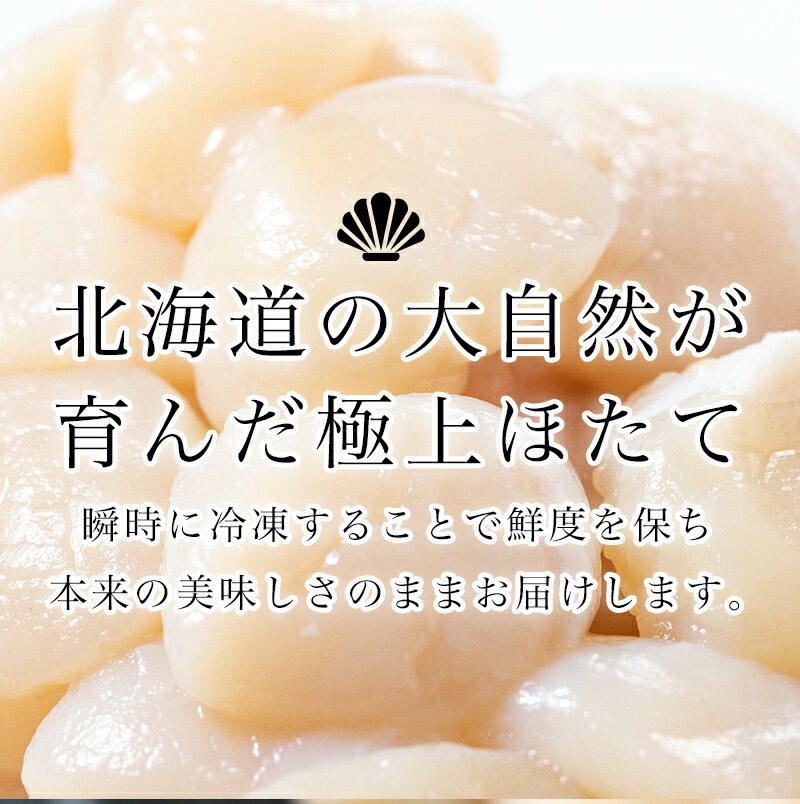 北海道産冷凍ホタテ貝柱大（500g×2パック）「1kg」 ＜ワイエスフーズ＞ 小分け チャック付き 海鮮丼 森町 魚貝類 帆立 ホタテ ほたて 魚介類 貝 ふるさと納税 北海道 訳あり mr1-1493