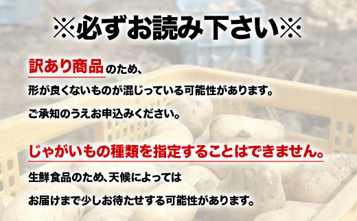【訳あり】北海道森町産 じゃがいも福袋20kg （2026年8月上旬～12月中旬まで順次お届け） 野菜 ジャガイモ じゃがいも きたあかり だんしゃく 男爵いも とうや メークイン ポテト 北海道 セット 詰め合わせ 福袋 mr1-0145
