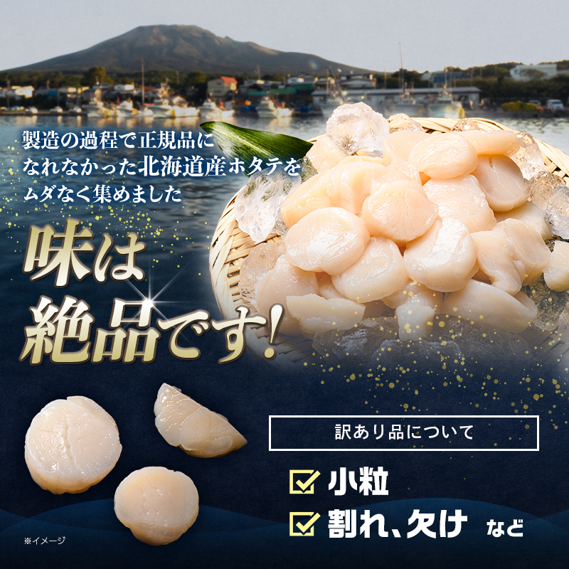 【訳あり】北海道産 ホタテ 1kg 貝柱 小分け フレーク 刺身用 冷凍＜海鮮問屋　株式会社　瑞宝＞ 小分け 森町 ほたて 帆立 ホタテ 海産物 魚貝類 おつまみ 海鮮丼 魚介類 貝柱 ふるさと納税 北海道 訳あり mr1-1488
