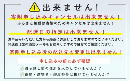 【先行予約】【訳あり】北海道森町産 じゃがいも福袋20kg （2026年8月上旬～12月中旬まで順次お届け） 野菜 ジャガイモ じゃがいも きたあかり だんしゃく 男爵いも とうや メークイン ポテト 北海道 セット 詰め合わせ 福袋 mr1-0145