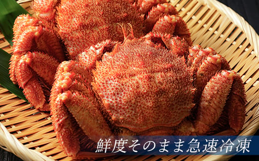 北海道・噴火湾産 冷凍ボイル毛ガニ 400g前後×6尾＜海鮮問屋　株式会社　瑞宝＞ かに カニ 蟹 ガニ がに 森町 ふるさと納税 北海道 毛蟹 毛かに 毛ガニ 毛カニ mr1-1472