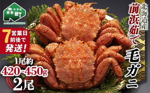 【7営業日前後で発送】北海道 毛ガニ 前浜茹で毛がに 約420g～450g 2尾 かに カニ 蟹 ガニ がに 森町 毛蟹 毛かに 毛がに 毛カニ 毛ガニ mr1-1537