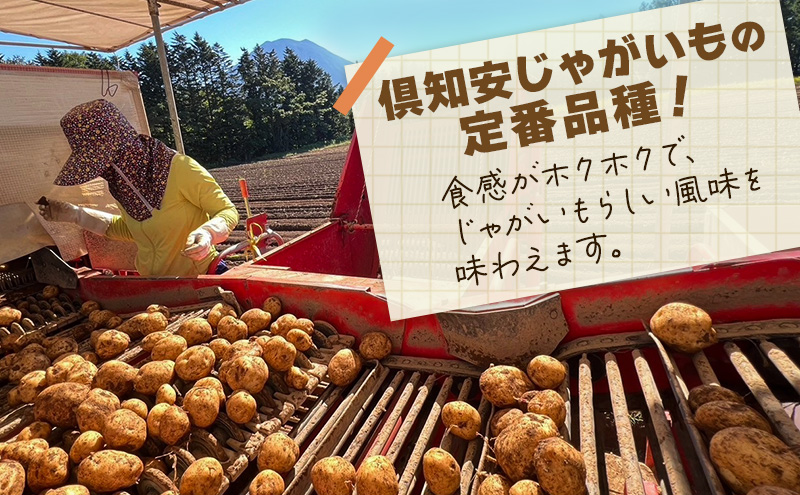 【 訳アリ 】 じゃがいも 約 10kg 男爵 or キタカムイ リストファーム サイズ 混合 馬鈴薯 芋 ポテト イモ 産地直送 野菜