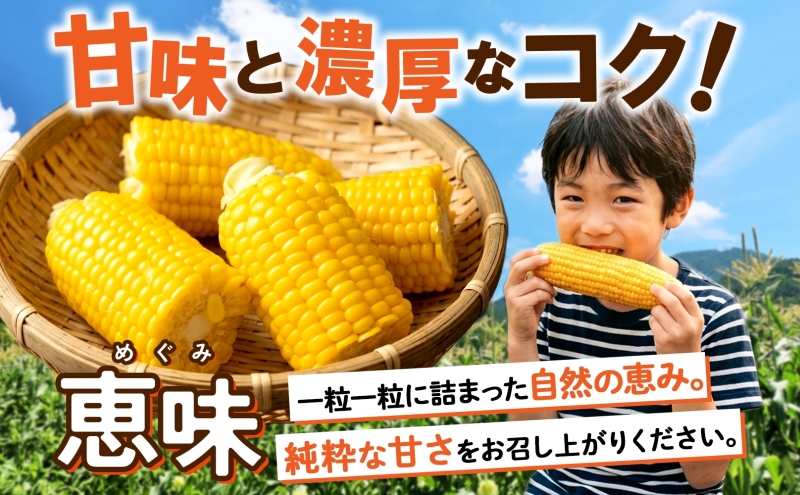 朝もぎ イエロー とうもろこし 恵味 2Lサイズ 26本 約10kg 大きめ 夏野菜 とうきび 旬 新鮮 野菜 トウモロコシ 甘い ギフト 産地直送 コーン 産直 グリーンアースファーム 送料無料 北海道 倶知安町