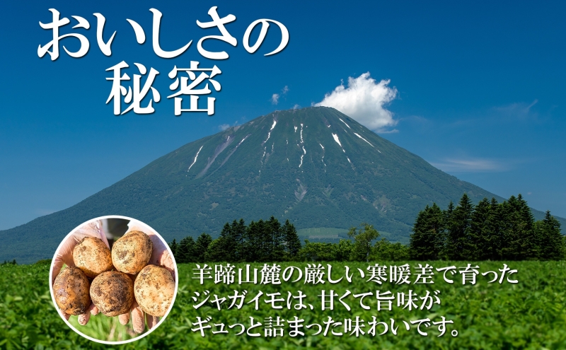 北海道産じゃがいも 男爵 きたかむい各約10kg Lサイズ 計20kg