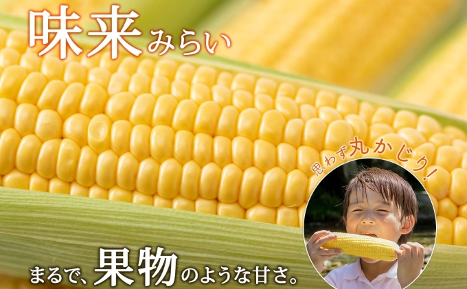 【 2026年 発送 】 北海道産 とうもろこし 味来 計12本 L-2L サイズ混合 大きめ みらい 旬 朝採り 新鮮 トウモロコシ 甘い 夏野菜 とうきび お取り寄せ 産地直送 野菜 しりべしや 送料無料 