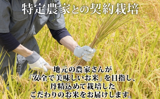【2026年4月出荷】北海道 倶知安町産 ゆめぴりか 精米 5kg 米 特A 白米 お米 道産米 ブランド米 契約農家 ごはん 炊き立て ご飯 もちもち  国産 人気 お取り寄せ ギフト 贈り物 備蓄 保存 おまとめ買い ショクレン 送料無料