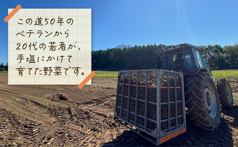 【 訳アリ 】 じゃがいも 約 10kg 男爵 or キタカムイ リストファーム サイズ 混合 馬鈴薯 芋 ポテト イモ 産地直送 野菜