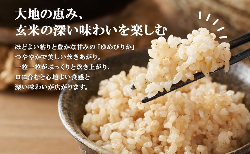 定期便 3ヵ月連続3回 北海道産 ゆめぴりか 玄米 3kg×4袋 計12kg 小分け 米 特A 国産 ごはん グルメ 食物繊維 ヘルシー お取り寄せ 備蓄 長期保存 プレゼント 贈答 ギフト ようてい農業協同組合 ホクレン 送料無料 北海道 倶知安町 3カ月 