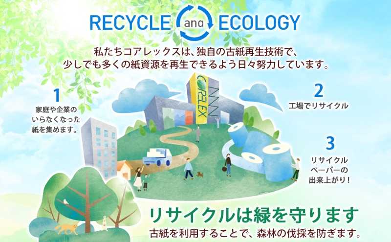 定期便 4ヵ月連続 ブライティア ソフト ボックス ティッシュ 200組 400枚 15箱 (5箱×3) BOX  ジョイマインドトイレットペーパー ロングロール シングル 72ロール (12ロール×6個パック) 長さ110m 日本製 北海道 倶知安町 日用品