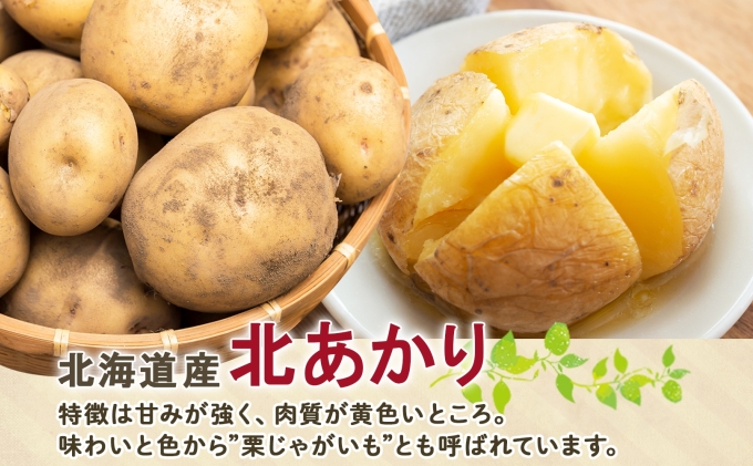 【 2026年 発送 】 先行予約 北海道産 道塚農園 じゃがいも 北あかり 計10kg前後 L-LLサイズ ジャガイモ きたあかり キタアカリ 馬鈴薯 芋 いも イモ 農作物 野菜 産地直送 
