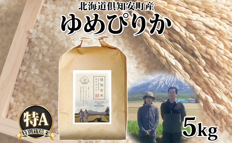【2026年3月出荷】北海道 倶知安町産 ゆめぴりか 特別栽培米 精米 5kg 米 特A 白米 お米 道産米 ブランド米 契約農家 ごはん 炊き立て ご飯 もちもち  国産 人気 お取り寄せ ギフト 贈り物 備蓄 保存 おまとめ買い ショクレン