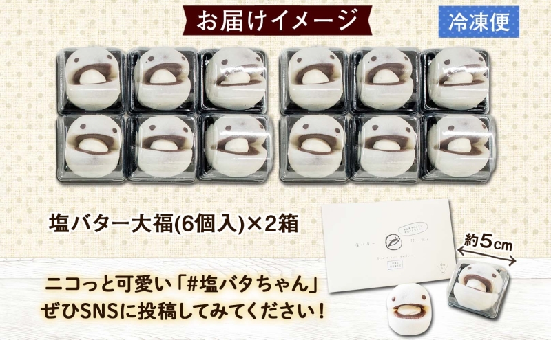 北海道 塩バター 大福 6個入り×2箱 12個 個包装 小分け 塩バタちゃん こしあん 和菓子 もち 餅 小麦不使用 ギフト プレゼント 冷凍 お菓子のふじい ニセコ スイーツ 