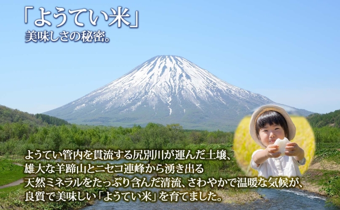 令和7年産 北海道産 ゆめぴりか 精米 5kg お米 米 白米 ブランド米 ご飯 ごはん おにぎり 主食 産直 贈り物 ギフト備蓄 JAようてい 送料無料 北海道 倶知安町 お弁当 和食 直送 産地直送 