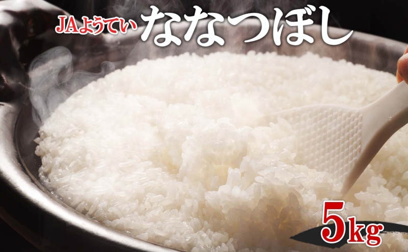 令和7年産 北海道産 ななつぼし 精米 5kg お米 米 白米 ブランド米 ご飯 ごはん おにぎり 主食 産直ギフト備蓄 JAようてい 送料無料 北海道 倶知安町 お弁当 和食 直送 産地直送 
