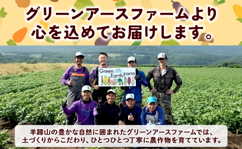 先行予約【 2027年出荷 】  北海道産 朝もぎ イエロー とうもろこし 味来 みらい 2Lサイズ 26本 約10kg 夏野菜 とうきび 新鮮 野菜 甘い ギフト 産地直送 コーン 産直 グリーンアースファーム