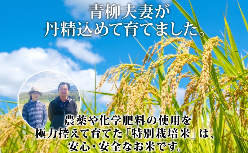 【2026年3月出荷】北海道 倶知安町産 ゆめぴりか 特別栽培米 精米 5kg 米 特A 白米 お米 道産米 ブランド米 契約農家 ごはん 炊き立て ご飯 もちもち  国産 人気 お取り寄せ ギフト 贈り物 備蓄 保存 おまとめ買い ショクレン