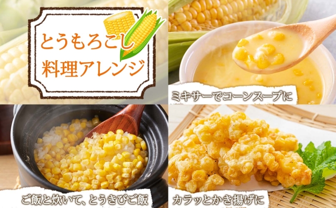 【 2026年 発送 】 北海道産 とうもろこし 味来 計12本 L-2L サイズ混合 大きめ みらい 旬 朝採り 新鮮 トウモロコシ 甘い 夏野菜 とうきび お取り寄せ 産地直送 野菜 しりべしや 送料無料 