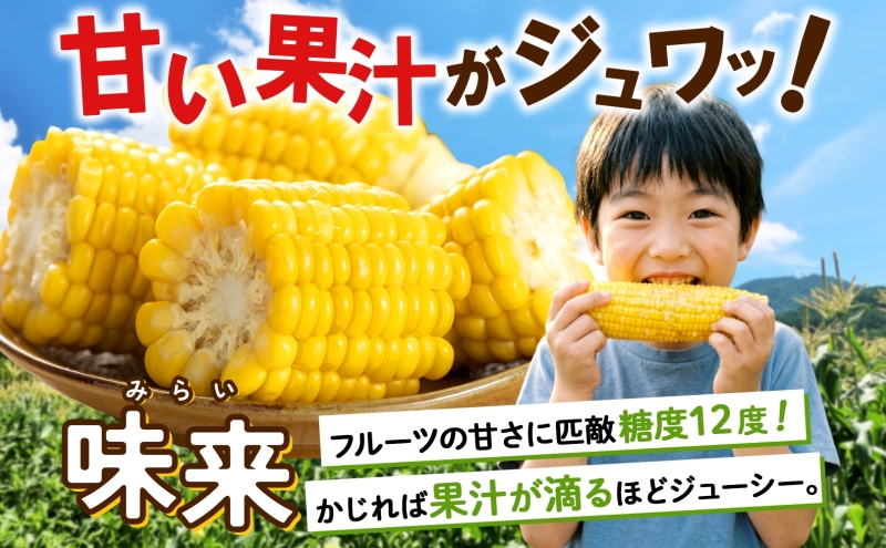 先行予約【 2027年出荷 】  北海道産 朝もぎ イエロー とうもろこし 味来 みらい 2Lサイズ 26本 約10kg 夏野菜 とうきび 新鮮 野菜 甘い ギフト 産地直送 コーン 産直 グリーンアースファーム