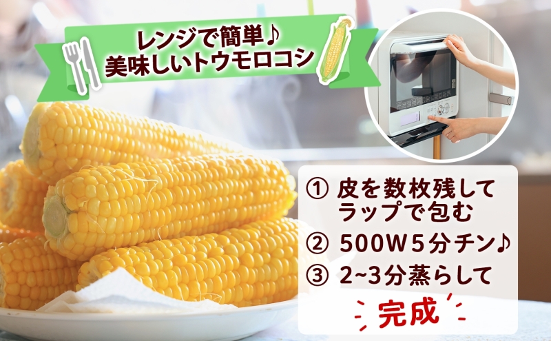 先行予約【 2027年出荷 】  北海道産 朝もぎ イエロー とうもろこし 味来 みらい 2Lサイズ 26本 約10kg 夏野菜 とうきび 新鮮 野菜 甘い ギフト 産地直送 コーン 産直 グリーンアースファーム
