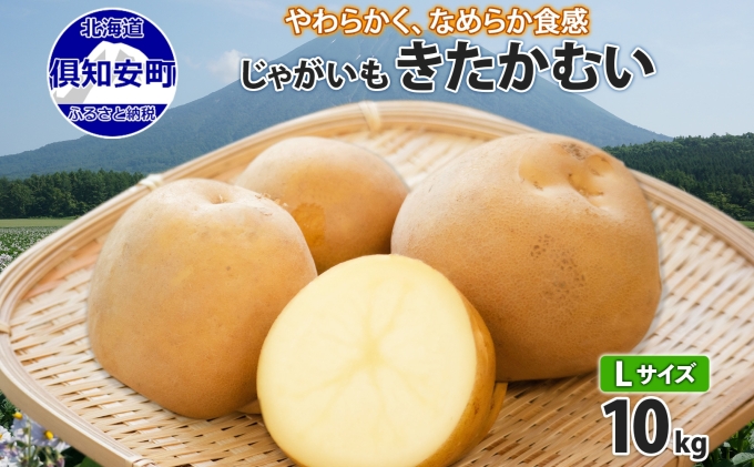 北海道産 じゃがいも きたかむい Lサイズ 10kg 馬鈴薯 キタカムイ
