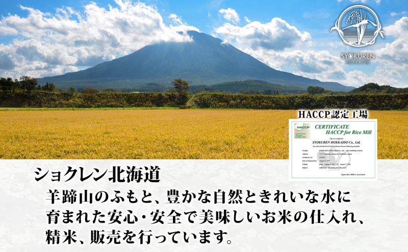 【2026年4月出荷】北海道 倶知安町産 ななつぼし 精米 5kg 米 特A 白米 お米 道産米 ブランド米 契約農家 ごはん 炊き立て ご飯 もちもち  国産 人気 お取り寄せ ギフト 贈り物 備蓄 保存 おまとめ買い ショクレン 送料無料