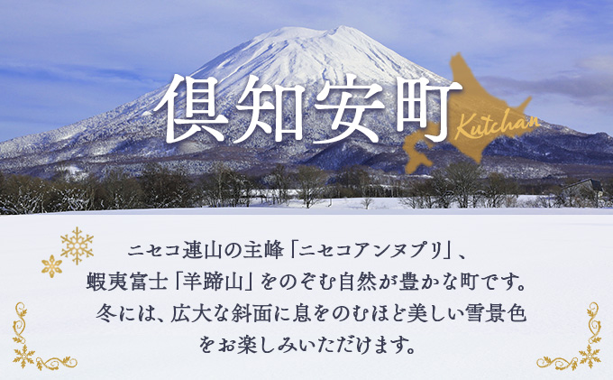 北海道 倶知安町 宿泊 利用 クーポン 【100万円分】チケット 旅行 ホテル パークハイアット ニセコ HANAZONO Panorama Niseko AYA Villas 他 リゾート コンドミニアム コテージ ヴィラ 券 宿泊券 観光 高級 宿 体験 長期滞在 旅 