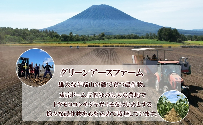 【 2026年 出荷 】 北海道 倶知安町産 ネバリスター 計5kg 北海道産 芋 ながいも 長芋 とろろ 新鮮 フレッシュ 野菜 農作物 産直 山芋 大和芋 イチョウ芋 麦とろ 山かけ おつまみ グリーンアースファーム