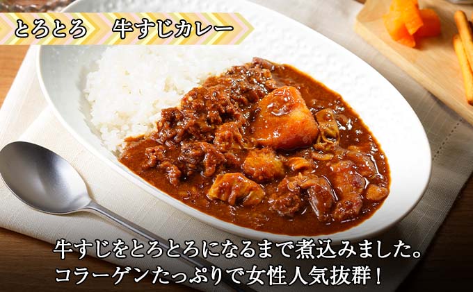 倶知安 牛すじカレー 北海道 計5個 中辛 レトルト食品 加工品 牛すじ 牛肉 野菜 じゃがいも お取り寄せ グルメ スパイシー スパイス 【お肉・牛肉・加工食品】 