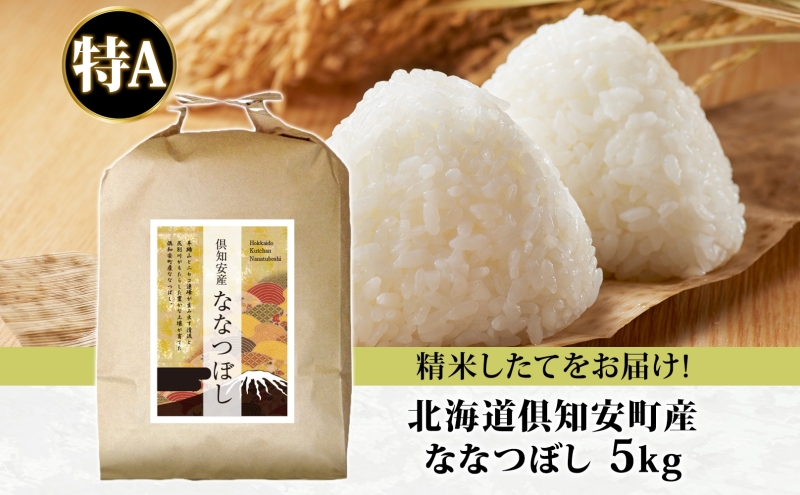 【2026年4月出荷】北海道 倶知安町産 ななつぼし 精米 5kg 米 特A 白米 お米 道産米 ブランド米 契約農家 ごはん 炊き立て ご飯 もちもち  国産 人気 お取り寄せ ギフト 贈り物 備蓄 保存 おまとめ買い ショクレン 送料無料