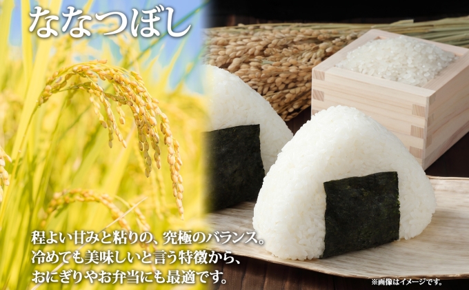 令和7年産 北海道産 ななつぼし 精米 5kg お米 米 白米 ブランド米 ご飯 ごはん おにぎり 主食 産直ギフト備蓄 JAようてい 送料無料 北海道 倶知安町 お弁当 和食 直送 産地直送 