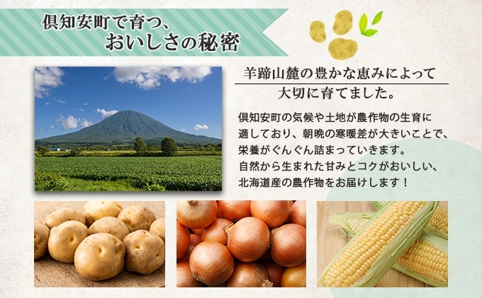 【 2026年 発送 】 先行予約 北海道産 道塚農園 じゃがいも 北あかり 計10kg前後 L-LLサイズ ジャガイモ きたあかり キタアカリ 馬鈴薯 芋 いも イモ 農作物 野菜 産地直送 
