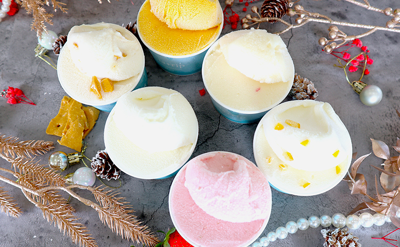 【冬限定】gelatrip’s winter selection 全6種 ジェラート 計12個 北海道 上富良野町 アイス