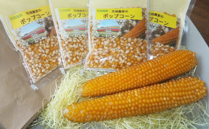 （自宅で楽しい！！食育にピッタリ）上富良野産手作りポップコーンセット 野菜 とうもろこし お菓子 スイーツ 