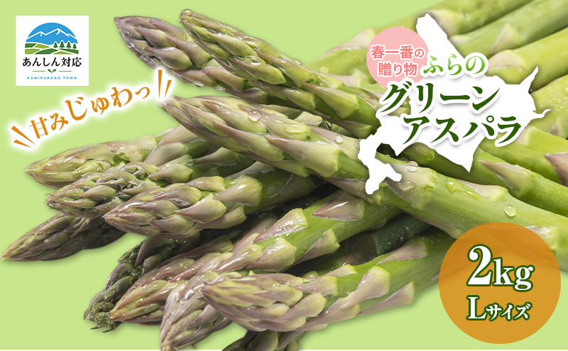 【令和9年産】アスパラガス グリーンアスパラ 2kg Lサイズ アスパラ 野菜 北海道 上富良野町 ふらの農業協同組合