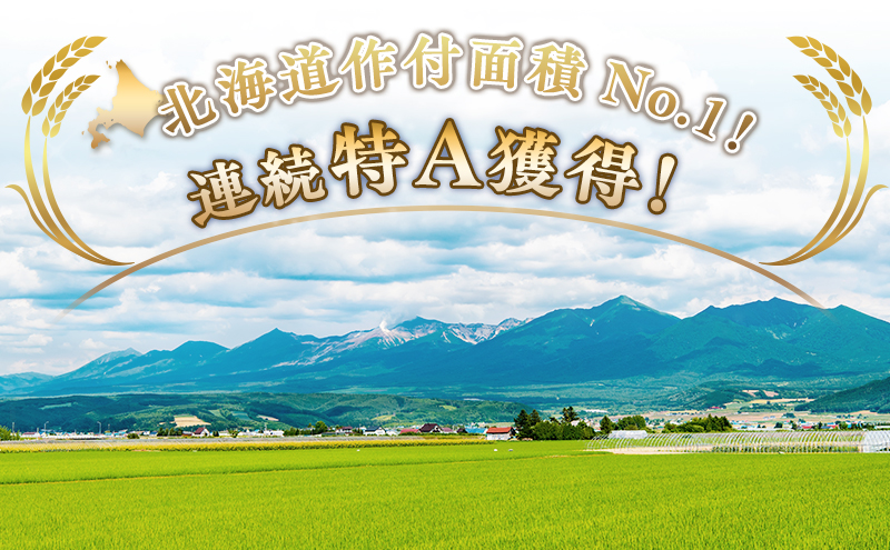 【令和8年産】2026年11月から順次出荷 ≪6ヶ月定期便≫北海道上富良野町産【ななつぼし】10kg お米 白米 精米 ライス ご飯 ブランド米 銘柄米 お弁当 おにぎり 北海道産 食卓 産地直送 複数回 お届け  