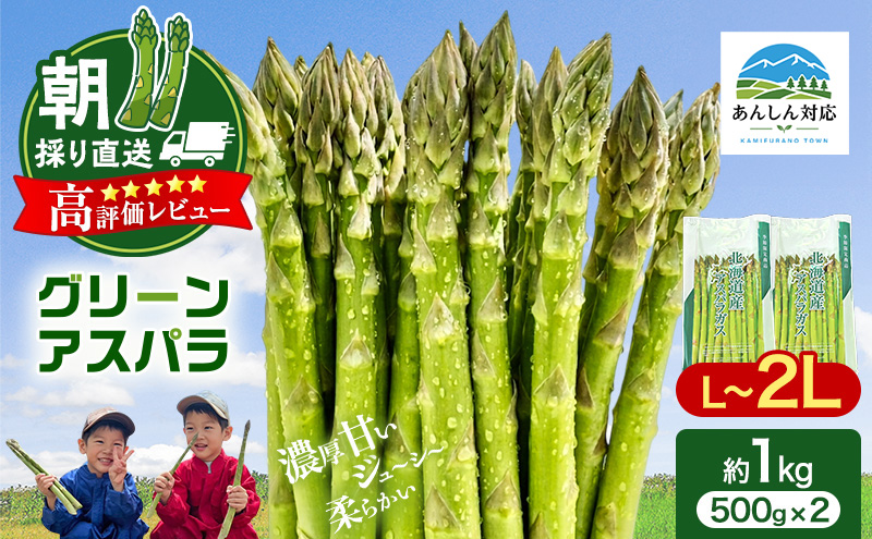 【令和9年産】2027年発送 先行予約 アスパラガス 専門農家 の 特選 グリーンアスパラ 1kg  L～2L 原農園 アスパラ 朝採りアスパラ 野菜 北海道 上富良野町