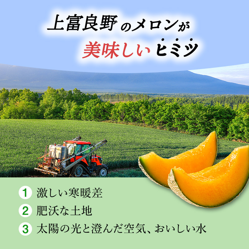 【令和8年産】 メロン ふらの 赤肉メロン LLサイズ 約2kg 2玉 糖度限界突破 ふらのメロン 果物 フルーツ デザート 旬の果物 北海道 富良野 上富良野町