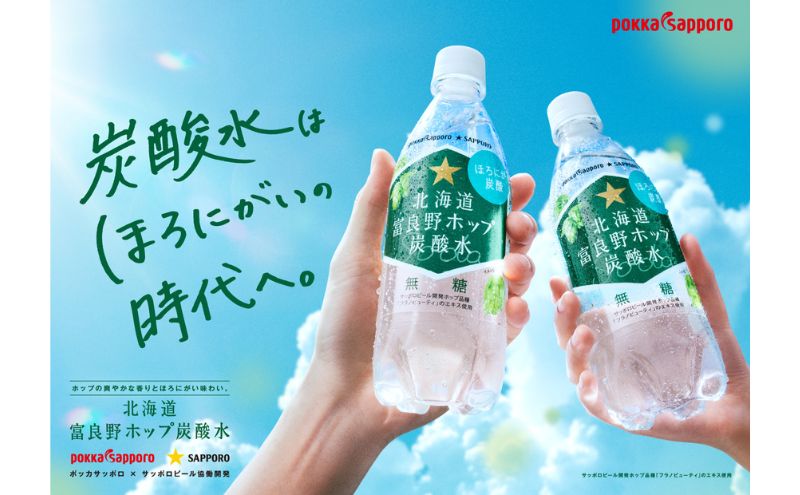 北海道 定期便 12ヵ月 連続 全12回 炭酸水 500ml × 24本 北海道富良野ホップ炭酸水 ポッカサッポロ 無糖 北海道富良野ホップ ペットボトル 炭酸飲料 炭酸 ソーダ ソーダ水飲料 ドリンク (有)リカーショップかまだ 上富良野町