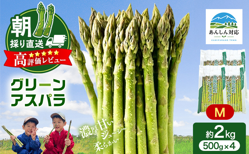 【令和9年産】2027年発送 先行予約 アスパラ 専門農家 の 特選 グリーンアスパラ 2kg M アスパラガス 原農園 朝採りアスパラ 野菜 北海道 上富良野町 グリーンアスパラ