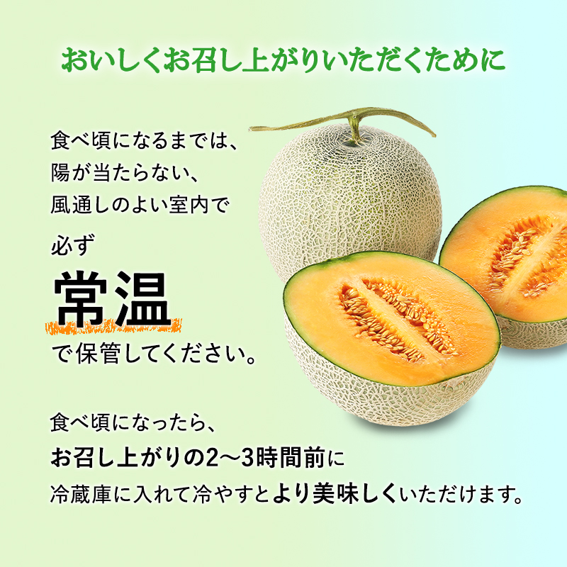 【令和8年産】JAふらの厳選！約2.5kg×1玉 赤肉メロン メロン めろん 富良野メロン 果物 くだもの フルーツ 富良野 デザート 北海道 国産 上富良野産 北海道産 食後 来客 北海道メロン