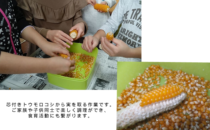 （自宅で楽しい！！食育にピッタリ）上富良野産手作りポップコーンセット 野菜 とうもろこし お菓子 スイーツ 