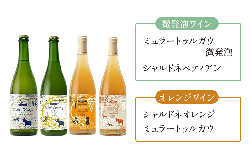 【3ヵ月定期便】野生酵母で醸したワイン 毎月3本お届け (3ヵ月間) 多田ワイナリー 北海道 上富良野町 ワイン 赤ワイン 白ワイン 微発泡ワイン オレンジワイン