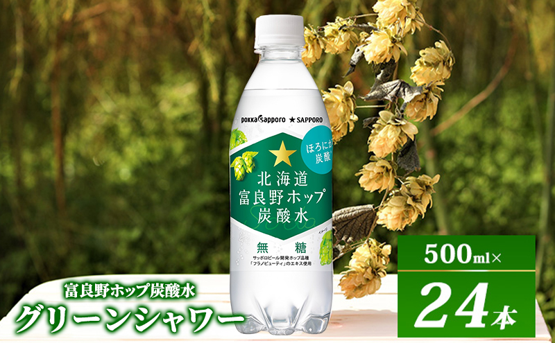 北海道 上富良野 ポテトチップス 100g 4袋 富良野 ホップ炭酸水 500ml × 24本 セット 贅沢 厚切り うすしお 味