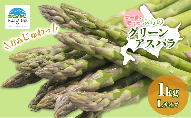 【令和9年産】アスパラガス グリーンアスパラ 1kg Lサイズ アスパラ 野菜 北海道 上富良野町 ふらの農業協同組合