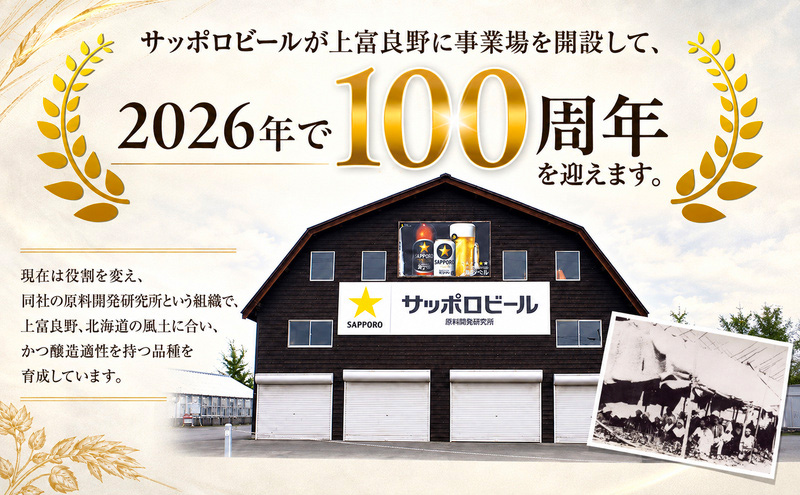 【北海道限定】サッポロクラシック 500ml×24本 サッポロビール クラシック ビール 缶ビール 生ビール お酒 贈答 ギフト プレゼント 上富良野町