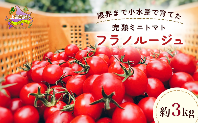 訳あり 北海道 完熟 新鮮 ミニトマト フラノルージュ 3kg 上富良野 自宅用 野菜 産地直送