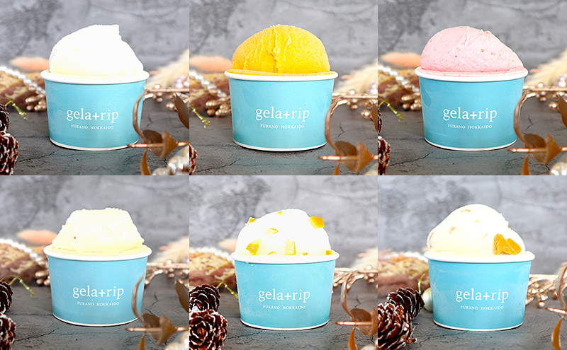 【冬限定】gelatrip’s winter selection 全6種 ジェラート 計12個 北海道 上富良野町 アイス