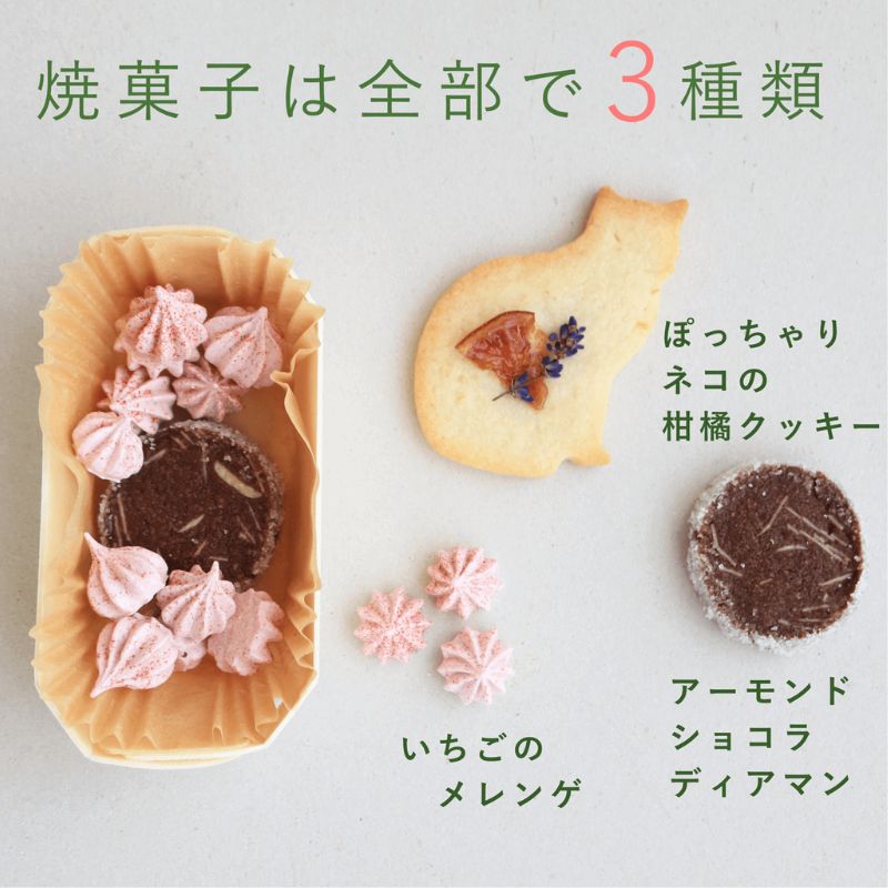 富良野 花七曜 リースと焼菓子セット Cat mini ラベンダー イエロー ◆ ドライフラワー